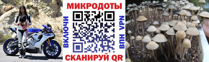площадка клад  Тейково  Псилоцибиновые грибы MAGIC MUSHROOMS  где можно купить наркотик 